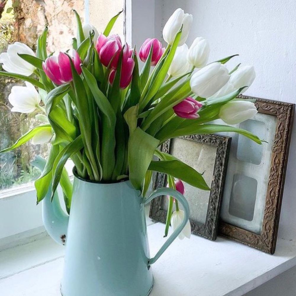 SpringTime🌸🤞 - Picture 10 of 16